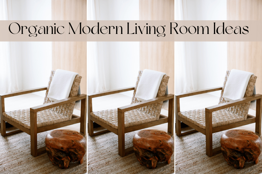 organic modern living room ideas