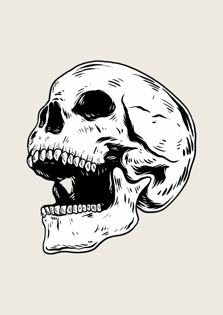 skull